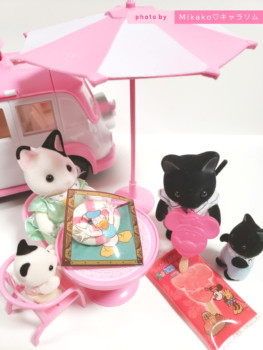 ミニーアイスキャンディー&ドナルドうきわまん